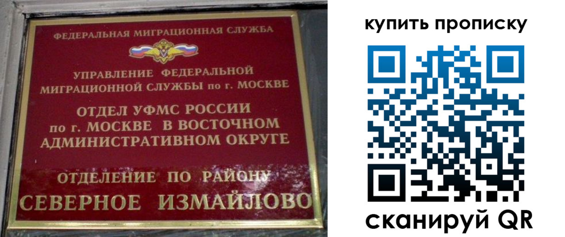 прописка в квартире в Лесном